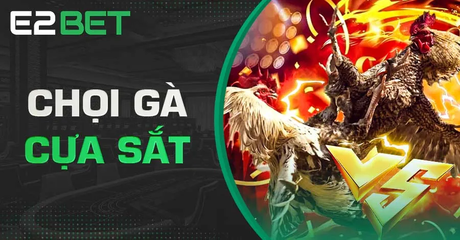 Hình thức đá gà cựa sắt thu hút đông đảo bet thủ tham gia trải nghiệm