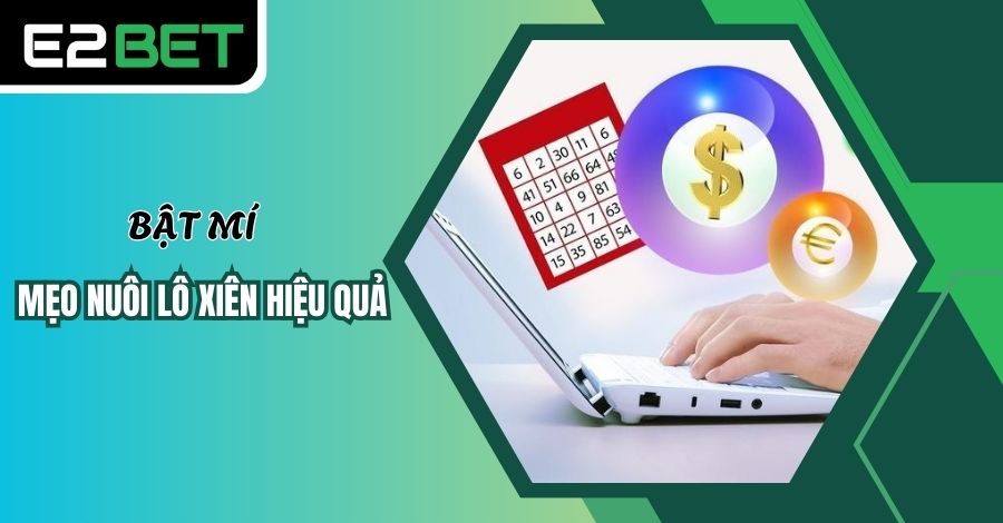 Bật mí các mẹo nuôi lô xiên hiệu quả nhất Bật mí các mẹo nuôi lô xiên hiệu quả nhất