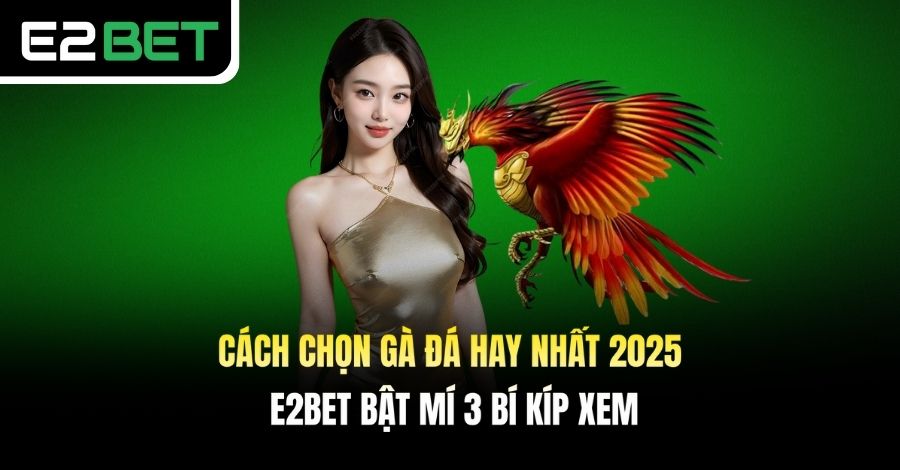 Cách Chọn Gà Đá Hay Nhất 2025 - E2BET Bật Mí 3 Bí Kíp Xem