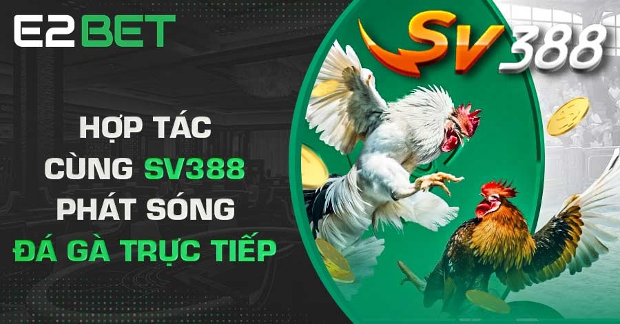 Hợp tác cùng SV388 phát sóng đá gà trực tiếp Hợp tác cùng SV388 phát sóng đá gà trực tiếp