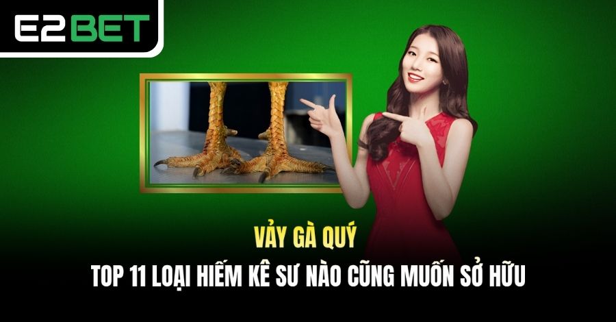 Vảy Gà Quý - Top 11 Loại Hiếm Kê Sư Nào Cũng Muốn Sở Hữu