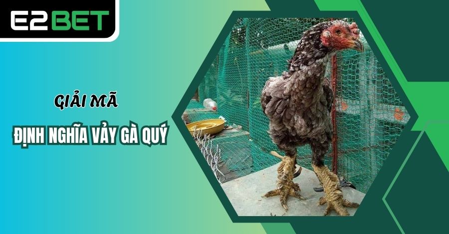 Định nghĩa về vảy gà quý
